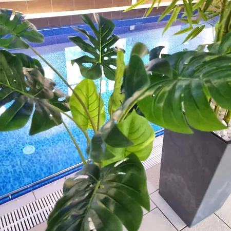 Apartment Seaart Niechorze
